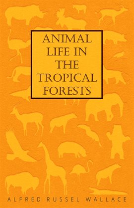 Cover image for Animal Life in the Tropical Forests