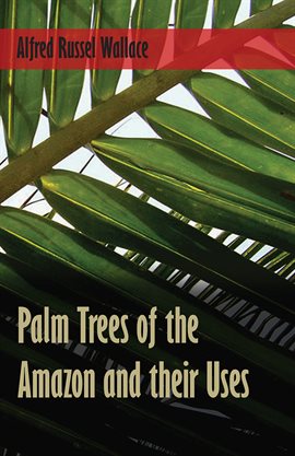 Cover image for Palm Trees of the Amazon and their Uses