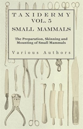 Cover image for Taxidermy Vol. 5 Small Mammals