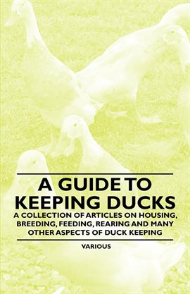 Cover image for A Guide to Keeping Ducks