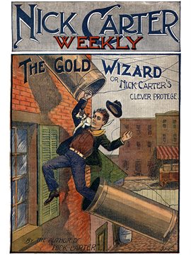 Cover image for The Gold Wizard