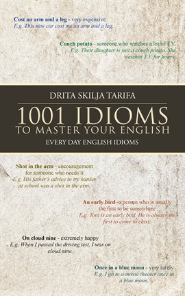 Cover image for 1001 Idioms to Master Your English