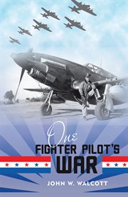 One fighter pilot's war cover image