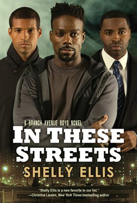 Cover image for In These Streets