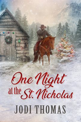 Cover image for One Night at the St. Nicholas