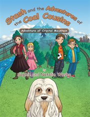 Stash and the adventures of the coal cousins. Adventure of Crystal Mountain cover image