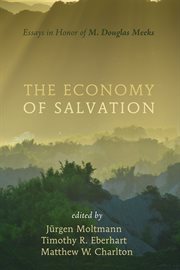 The economy of Salvation : essays in honor of M. Douglas Meeks cover image