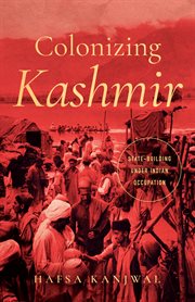 Colonizing Kashmir : State-building under Indian Occupation cover image