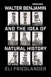 Walter Benjamin and the Idea of Natural History : Cultural Memory in the Present cover image