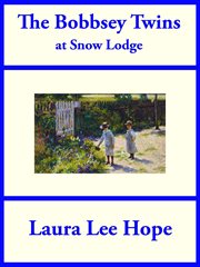 The Bobbsey twins at Snow Lodge cover image