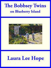 The Bobbsey twins on Blueberry Island cover image