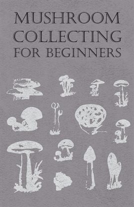 Cover image for Mushroom Collecting for Beginners