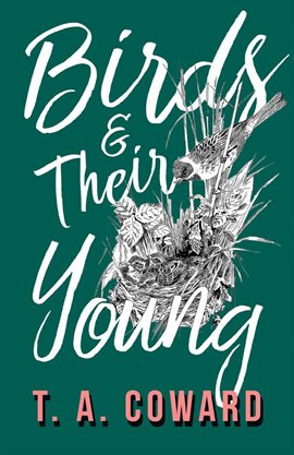 Cover image for Birds and Their Young