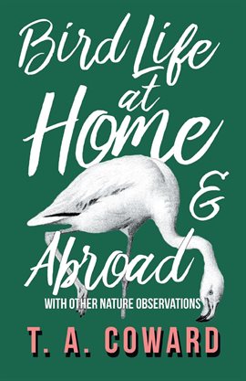Cover image for Bird Life at Home and Abroad