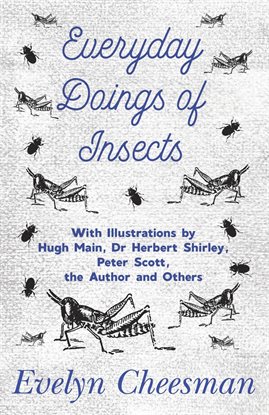 Cover image for Everyday Doings of Insects