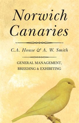 Cover image for Norwich Canaries