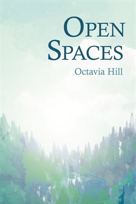 Cover image for Open Spaces