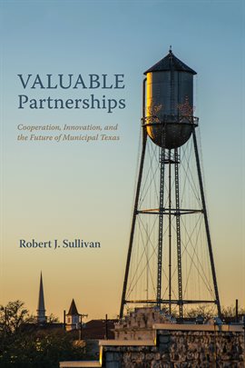 Umschlagbild für Valuable Partnerships