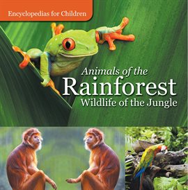 Cover image for Animals of the Rainforest