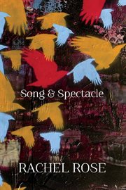 Song & spectacle cover image