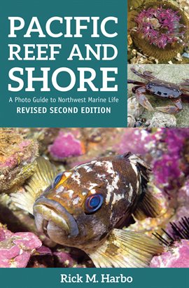 Cover image for Pacific Reef & Shore