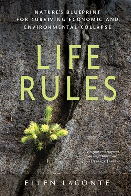 Cover image for Life Rules