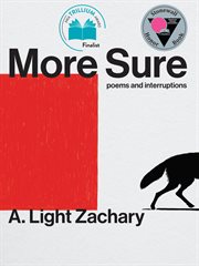 More sure : poems and interruptions cover image