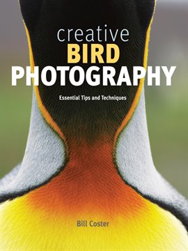 Cover image for Creative Bird Photography