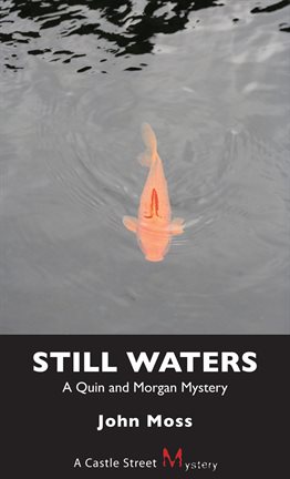 Cover image for Still Waters