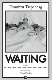 Waiting : stories cover image