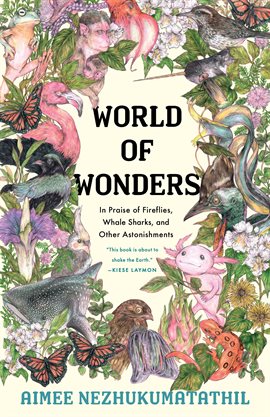 Cover image for World of Wonders