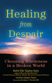 Healing from despair : choosing wholeness in a broken world cover image