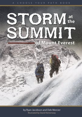 Cover image for Storm At The Summit Of Mount Everest