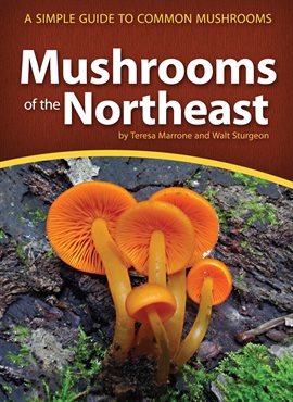Cover image for Mushrooms of the Northeast