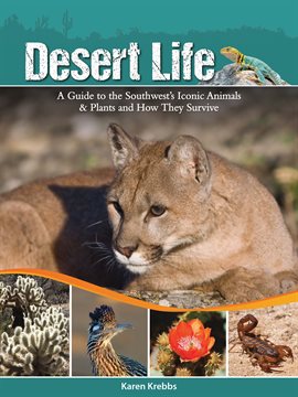 Cover image for Desert Life