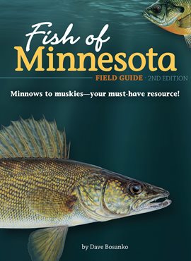 Cover image for Fish of Minnesota Field Guide