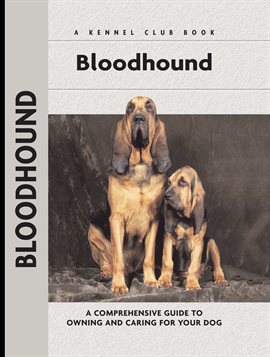 Cover image for Bloodhound