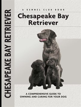 Cover image for Chesapeake Bay Retriever