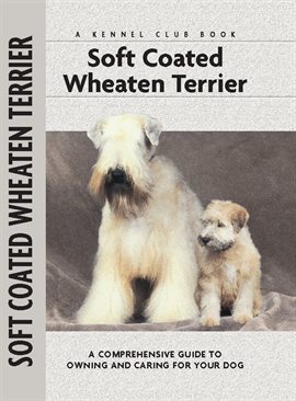 Cover image for Soft Coat Wheaten Terrier