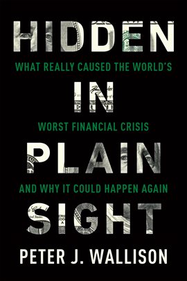 Cover image for Hidden In Plain Sight