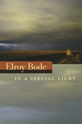 Cover image for In a Special Light
