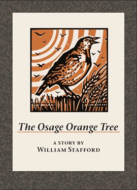 Cover image for The Osage Orange Tree