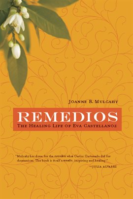 Cover image for Remedios