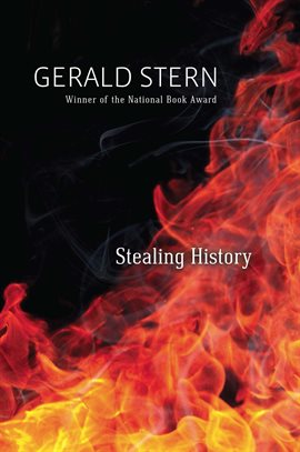 Cover image for Stealing History