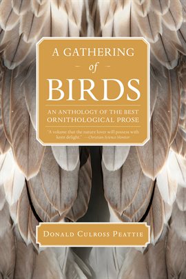 Cover image for A Gathering of Birds