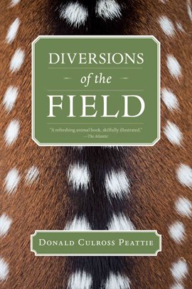 Cover image for Diversions of the Field