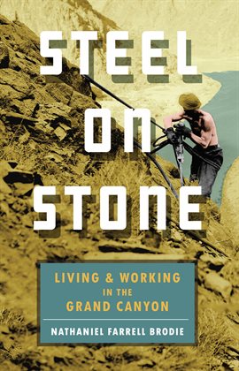 Cover image for Steel on Stone