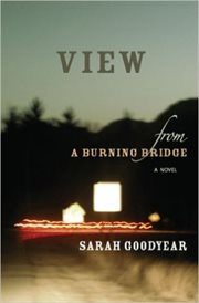 View From a Burning Bridge cover image