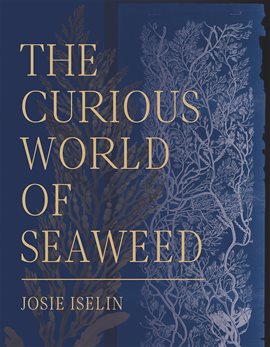 Cover image for The Curious World of Seaweed