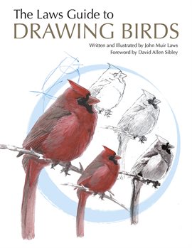 Cover image for The Laws Guide to Drawing Birds